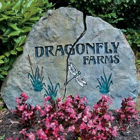 Dragonfly Farms