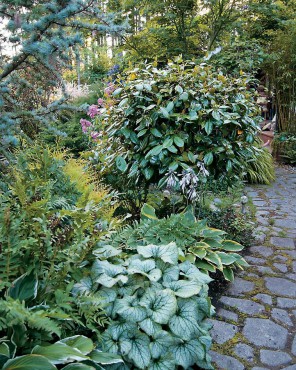 Jeanne Cronce's Garden: A Bit of Paradise