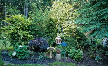 Jeanne Cronce's Garden: A Bit of Paradise