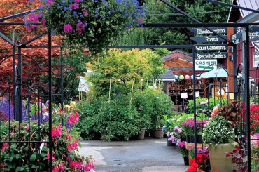 Valley Nursery