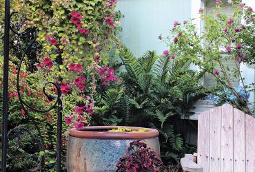 Debbie Teashon's Rainy Side Garden