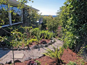 After: The walkway has been defined and sword ferns and other existing plants repeated on both sides of the pathway for unity.