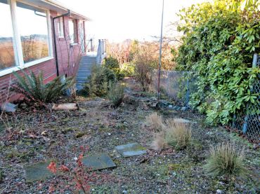 Before: Native garden down the side of a home. Dilemma? Feels messy the path is hard to walk on.