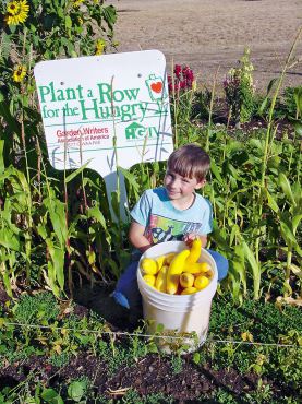 The New Victory Gardens