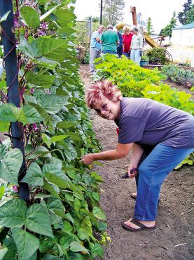 The New Victory Gardens