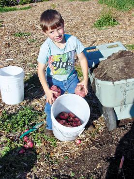 The New Victory Gardens