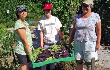 The New Victory Gardens