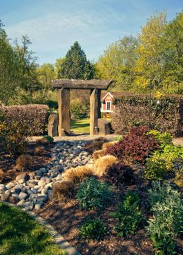 Backyard entry