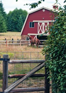 The barn