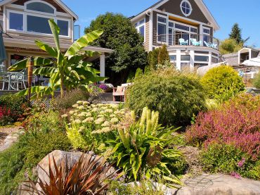 The Andersons' tropical garden by the beach