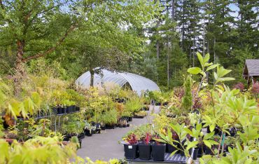 Glenwood Gardens features a wide variety of unusual plants.