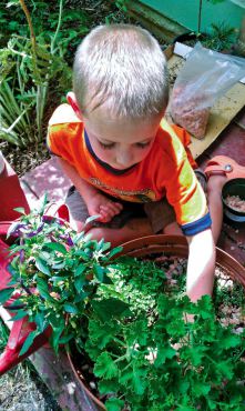 Kids' Gardening