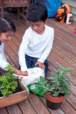 Kids' Gardening