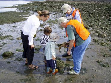 Community Education Opportunities — Lifelong Learning in the West Sound