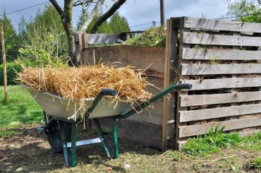 How to Turn Your Yard Waste into Resources