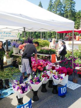 Gig Harbor Farmers Market