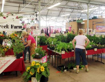 Gig Harbor Farmers Market