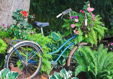 Tricycle planted with begonias, ferns and impatiens