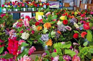 A rainbow of bouquets all ready for the Garden Party are the results of days' worth of work for Cathy Tyler and her talented volunteers.