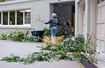 Volunteer Deb Damron organizes cuttings from a wide variety of choice trees and shrubs on an early spring Tuesday.