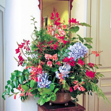 The hallway table features a lush midsummer display of Hydrangea, two cultivars of Crocrosmia, hardy gladiolas, Mahonia, salal, and cedar.