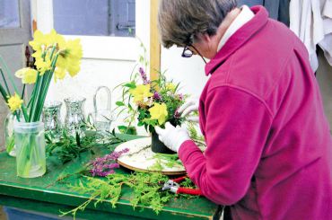 Volunteer Chrilo von Gontard uses a lazy susan to create balanced bouquets with bright daffodils and heath.