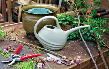 A familiar array of tools for flower arranging