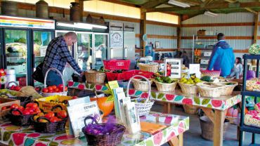 Community Supported Agriculture