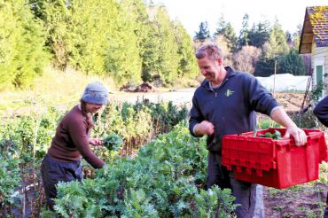 Community Supported Agriculture