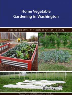 Home Vegetable Gardening