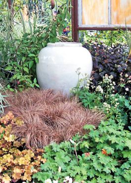 White pottery nestled into plantings creates a luminous reflection against the shadows of the plant foliage.