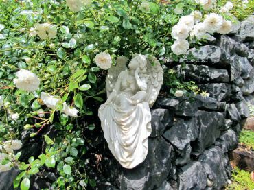 Heavy blooming "sea foam" roses add contrast against a dark rock wall.