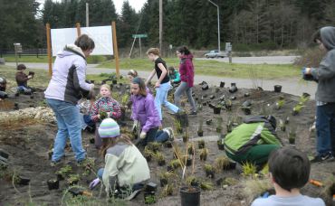 rain garden 3