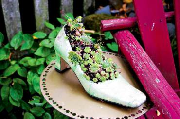 A shoe is for fun planting.