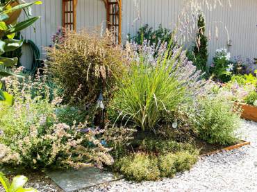 A butterfly garden featuring lavender, catmint, aster and angel's fishing rod (Dierama).