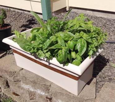 Slug-Proof Salad Box