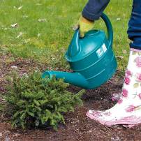 Tips for Planting Out of Season