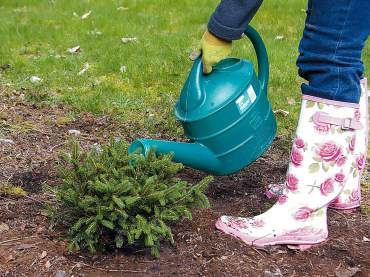 Tips for Planting Out of Season