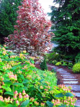 Barbara and Dave Shoaf — Garden Paradise