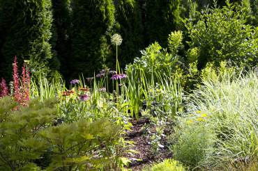 Barbara and Dave Shoaf — Garden Paradise