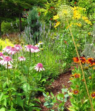 Barbara and Dave Shoaf — Garden Paradise