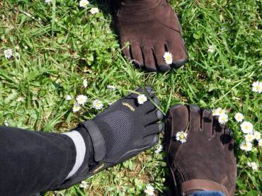 Eco-lawns include wildflowers, such as English daisies.