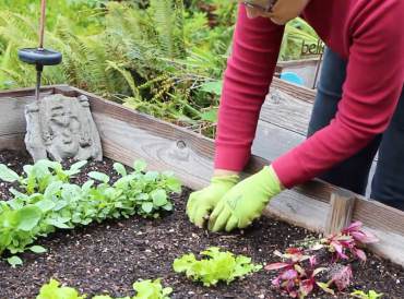 Gardening With Peg