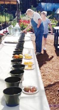 Tomatoes Sample Table