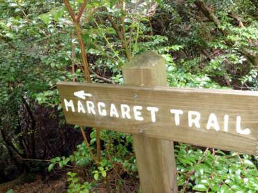 Trail marker in Guillemot Cove Nature Reserve owned by Kitsap County. (Photo by Rodika Tollefson)