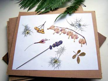 The Art of the Herbarium