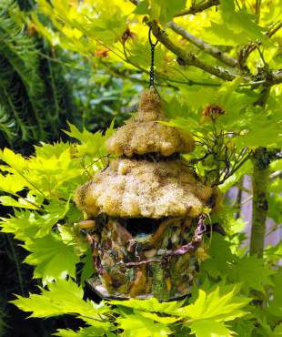Birdhouse at home among the foliage of a bright yellow maple. (Photo by Colleen Miko)