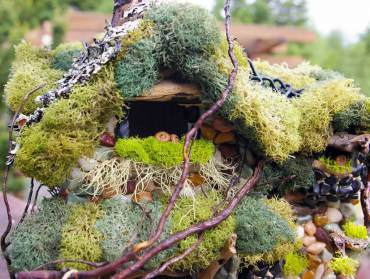 A colorful variety of moss and lichen adorn this birdhouse. (Photo by Colleen Miko)