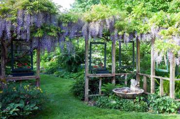 Jean Boyle and Bethany McDonald — A Tale of Two Sisters and Their Gardens