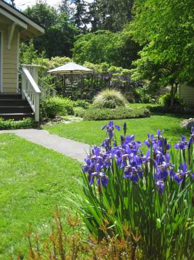 Jean Boyle and Bethany McDonald — A Tale of Two Sisters and Their Gardens